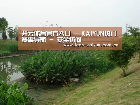 案例展示四(图1)