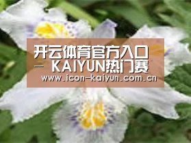 产品名称二