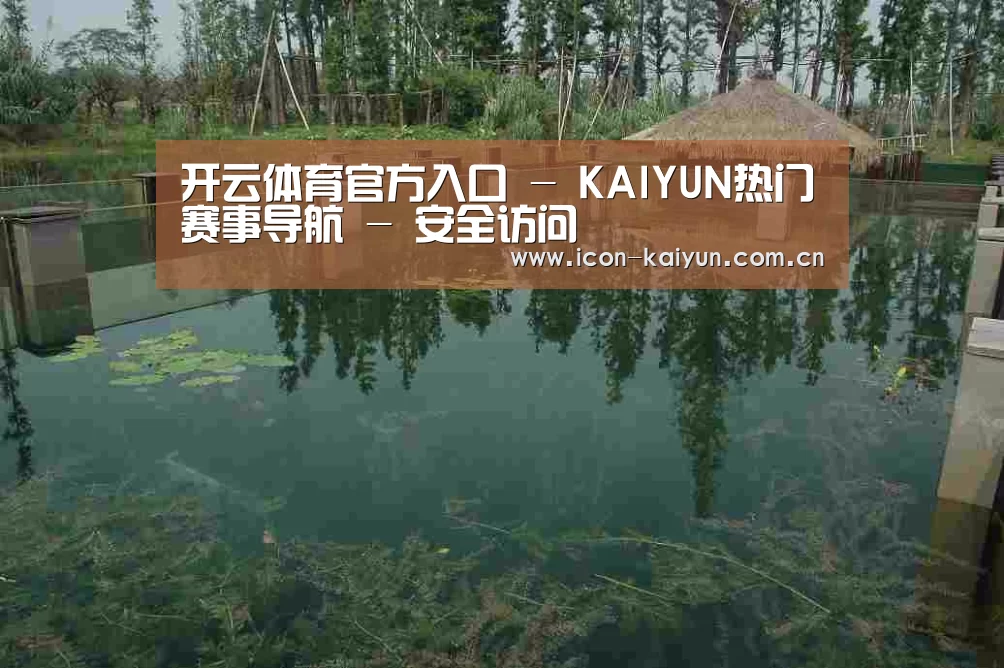 案例展示二