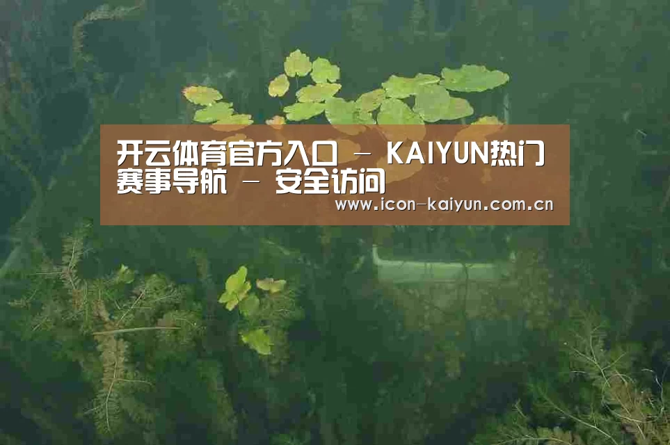 案例展示三