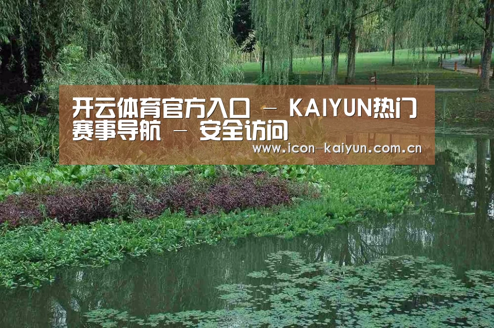 案例展示一