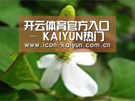 产品名称三