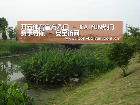 案例展示四