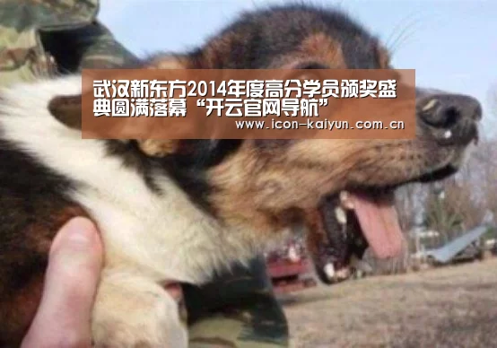 武汉新东方2014年度高分学员颁奖盛典圆满落幕“开云官网导航”(图1) KAIYUN体育