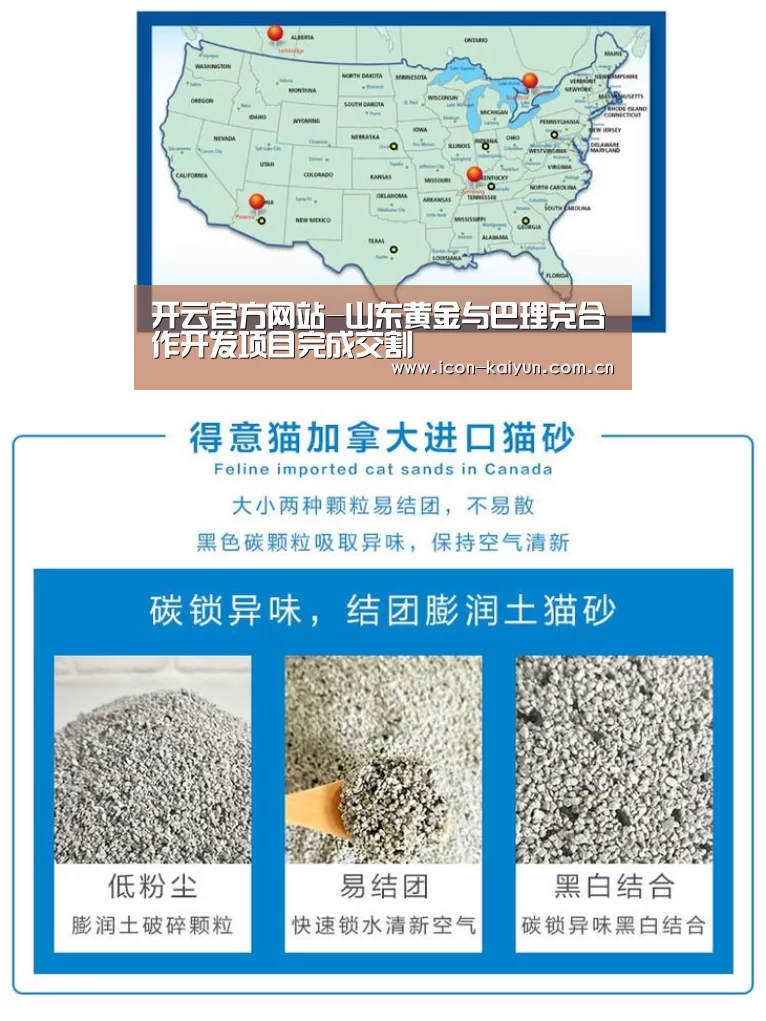 开云官方网站-山东黄金与巴理克合作开发项目完成交割