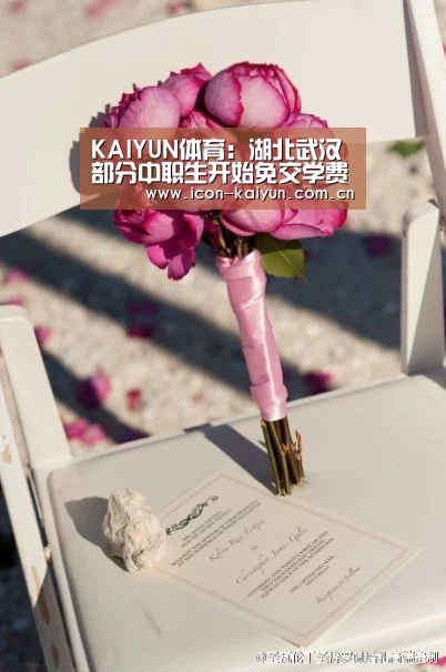 开云体育官网