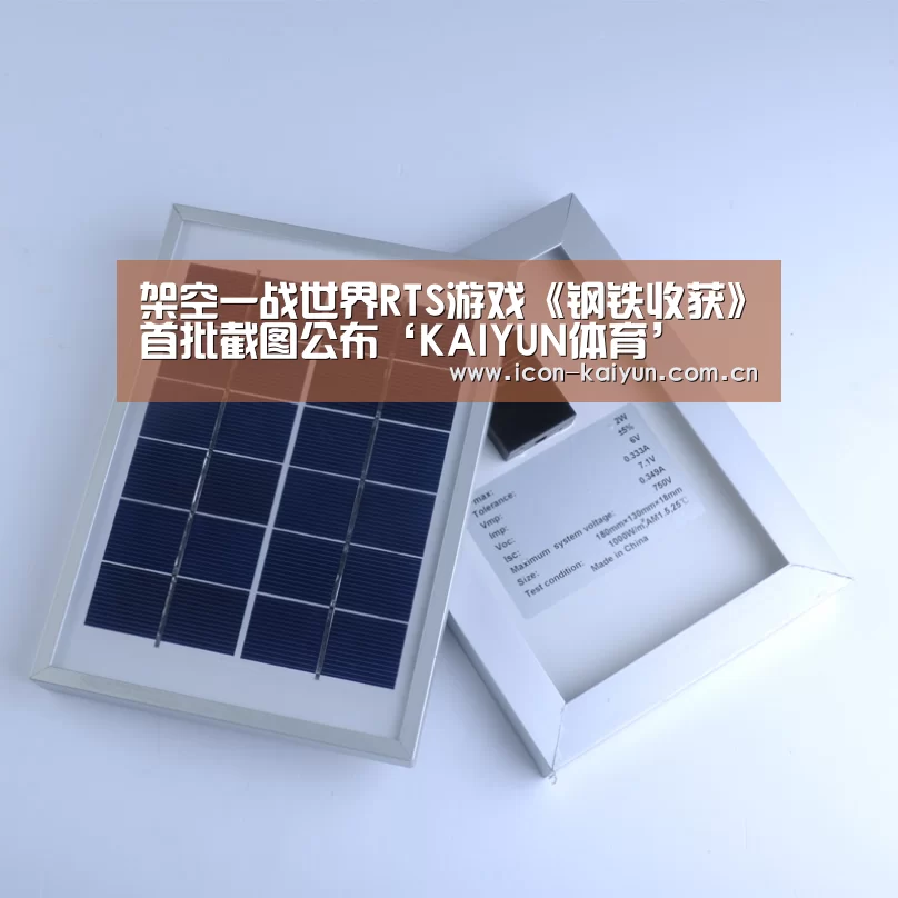 开云官方网站