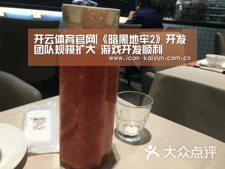 开云体育官网|《暗黑地牢2》开发团队规模扩大 游戏开发顺利(图1) 开云体育官网