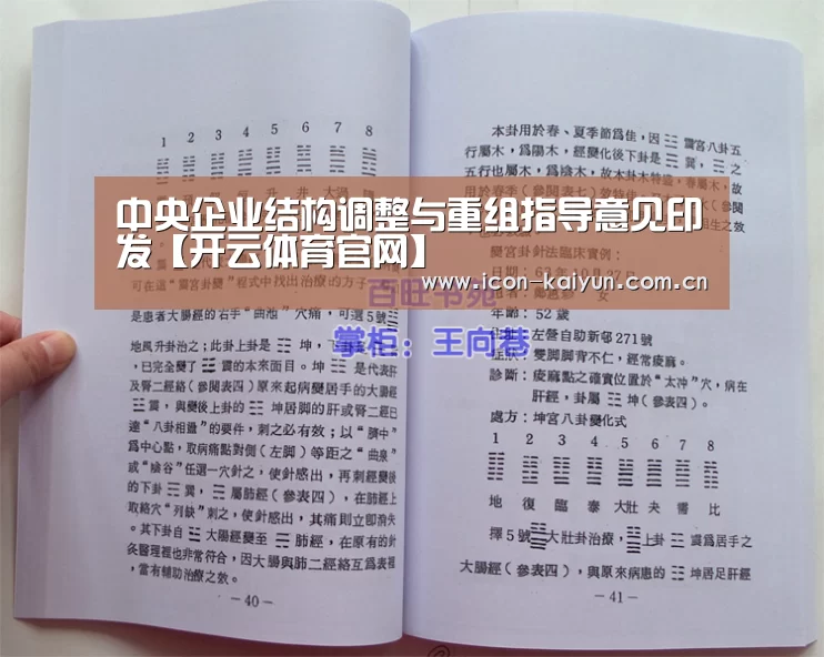 开云官方网站