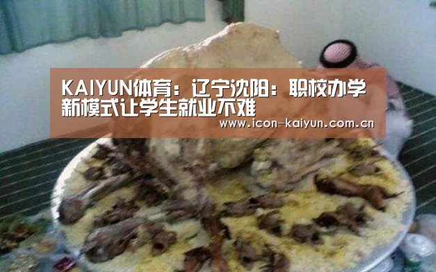 开云官网导航