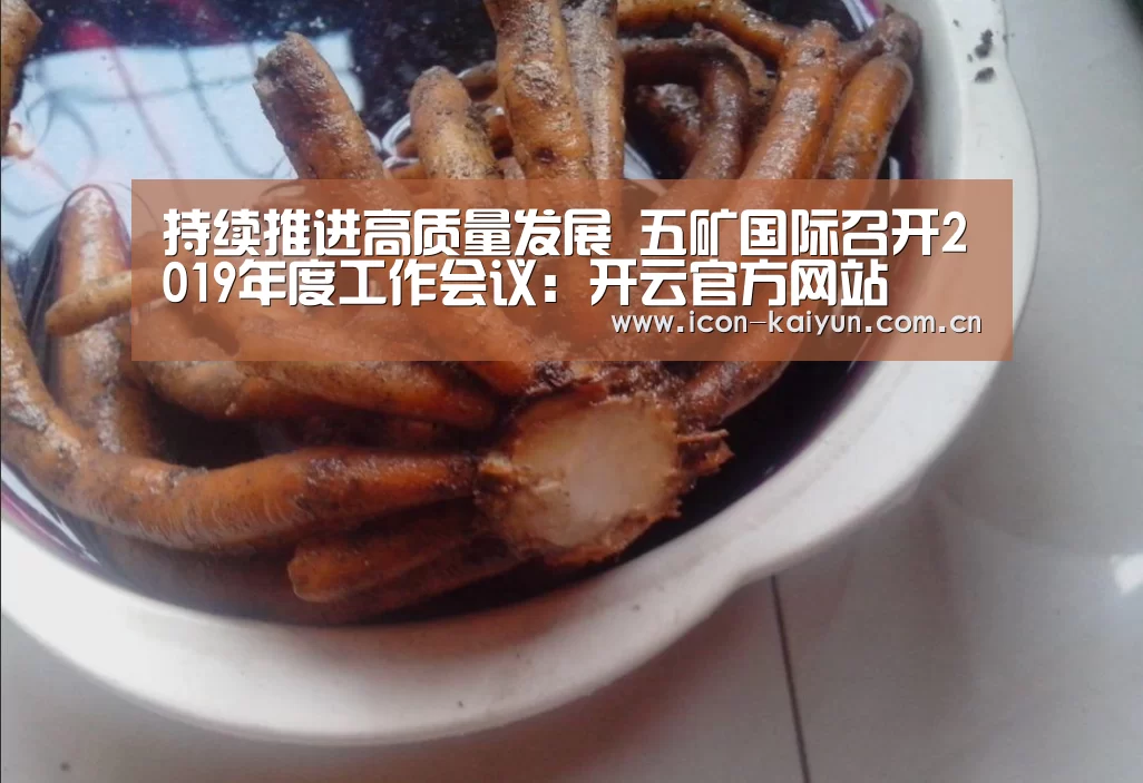开云官方网站