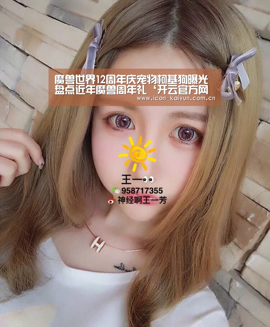 魔兽世界12周年庆宠物柯基狗曝光 盘点近年魔兽周年礼‘开云官方网站’(图2) KAIYUN体育