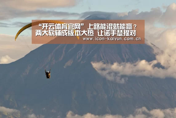 开云官方网站