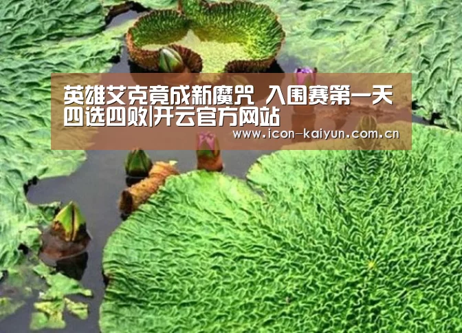 开云体育官网