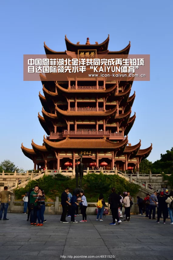 开云官方网站