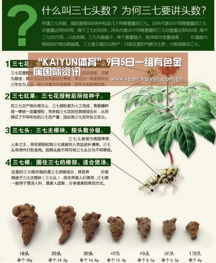 “KAIYUN体育”9月5日一组有色金属国际资讯(图1) KAIYUN体育