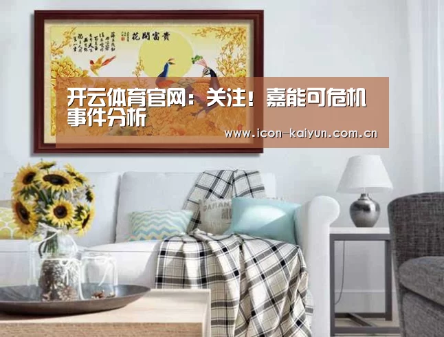 开云官网导航