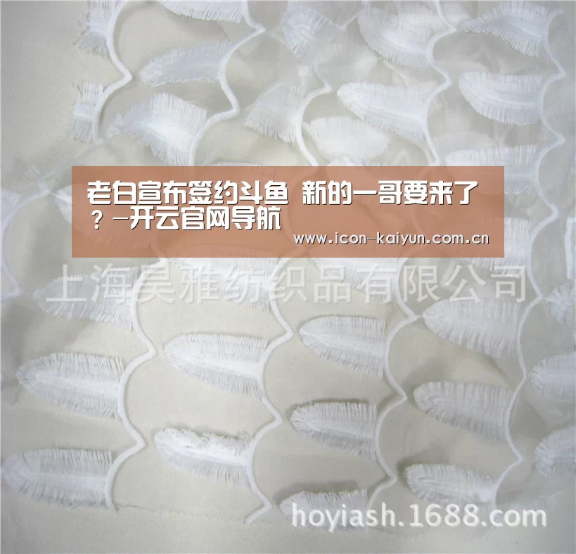 老白宣布签约斗鱼 新的一哥要来了?-开云官网导航(图1) 开云体育官网