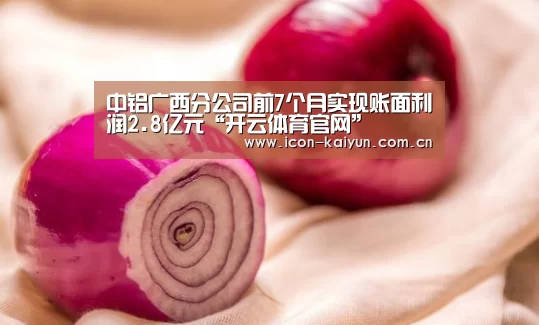 开云官方网站