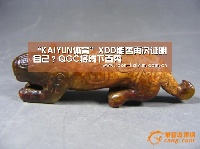 KAIYUN体育