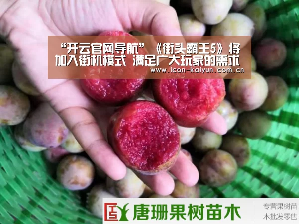 “开云官网导航”《街头霸王5》将加入街机模式 满足广大玩家的需求(图1) 开云体育官网