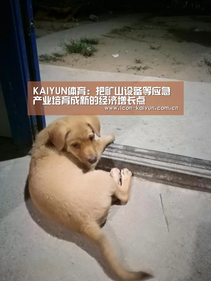 KAIYUN体育:把矿山设备等应急产业培育成新的经济增长点(图1) 开云体育官网