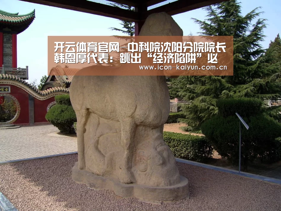 开云官方网站